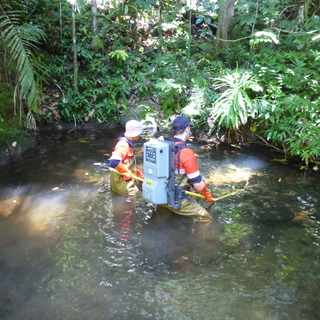 Preview image for the project: Wafi-Golpu Environmental Impact Statement, Papua New Guinea