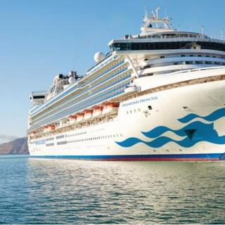 Preview image for the project: Cruise shipping – state of art onboard training and lessons learned tools